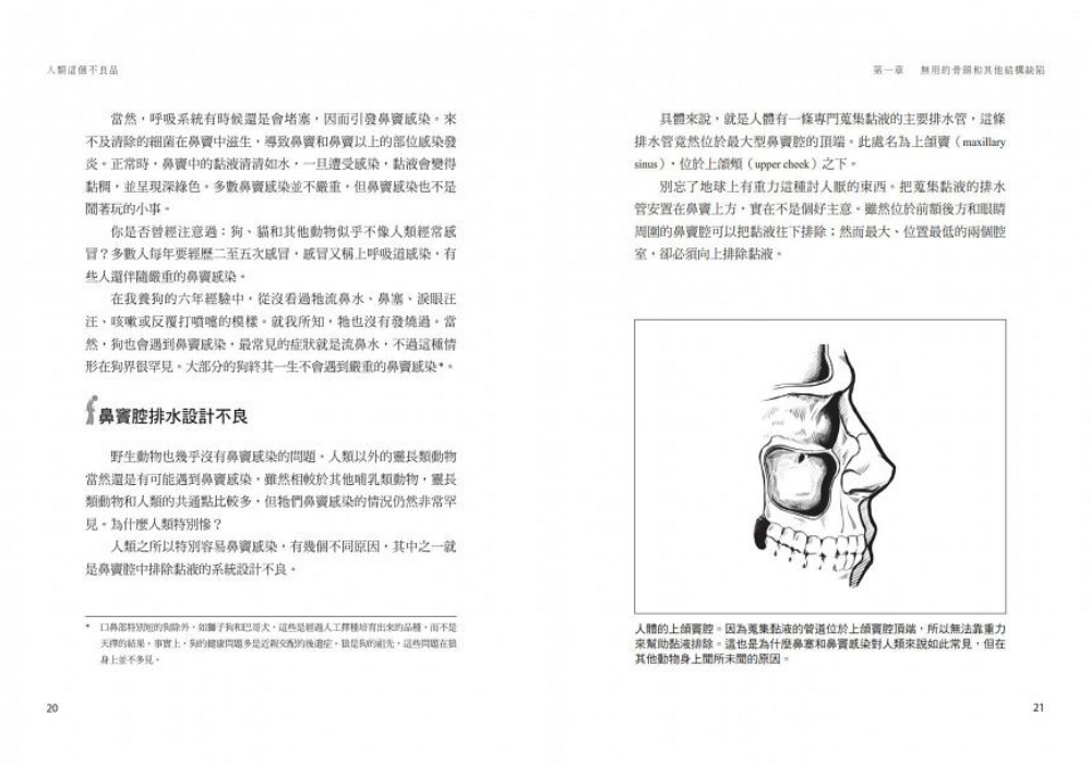 collage人類這個