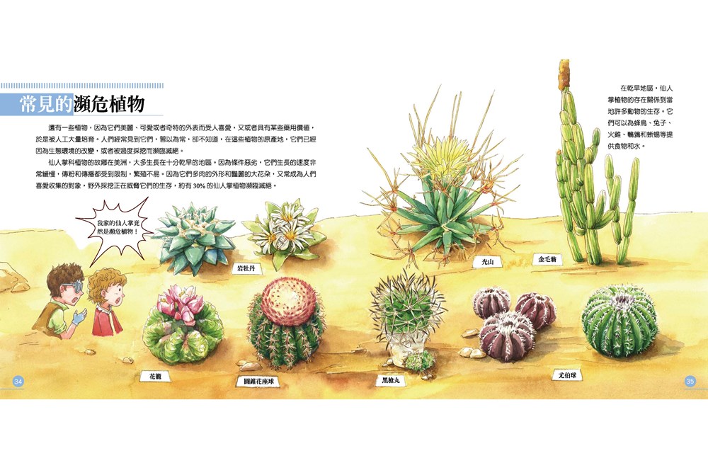 我的第一本植物演化圖鑑—從被子植物稱霸到人與植物共生_12