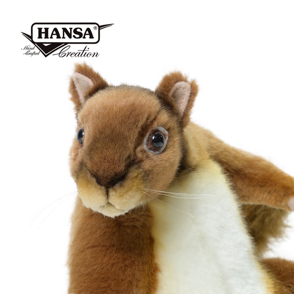 Hansa紅松鼠_600_4